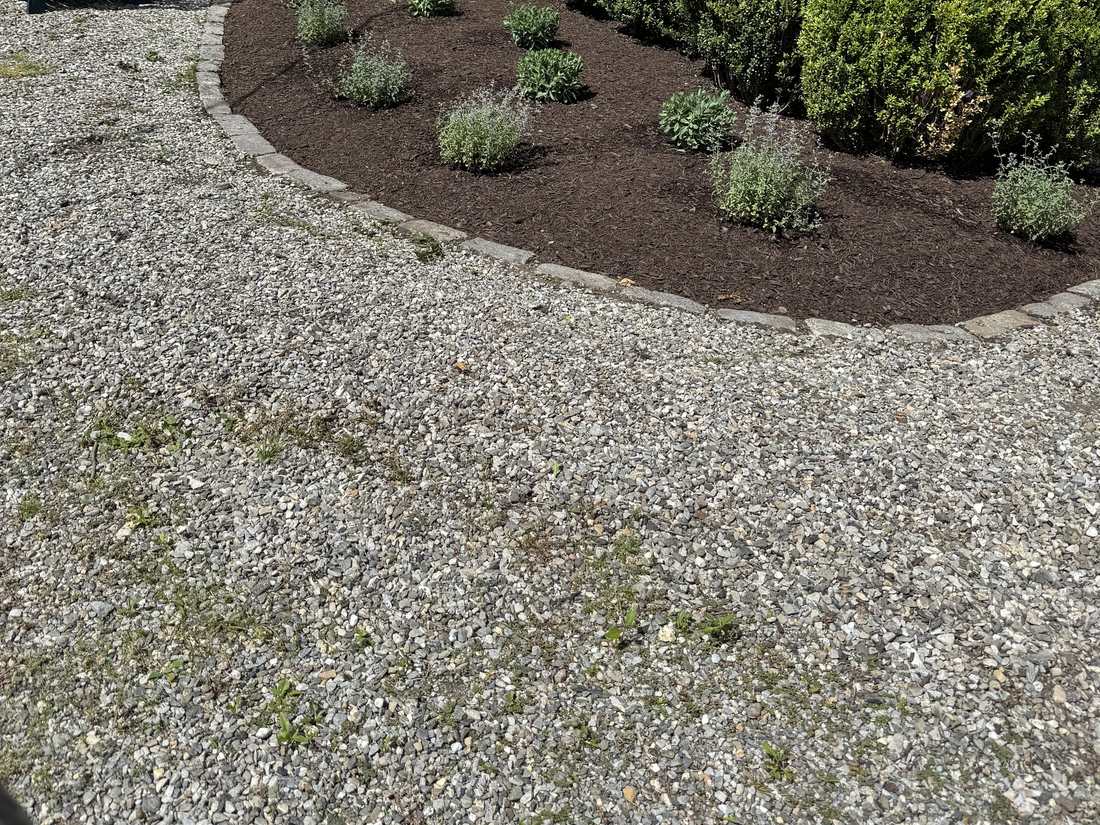 Boxwood and perennial bed edged with stone along a gravel area