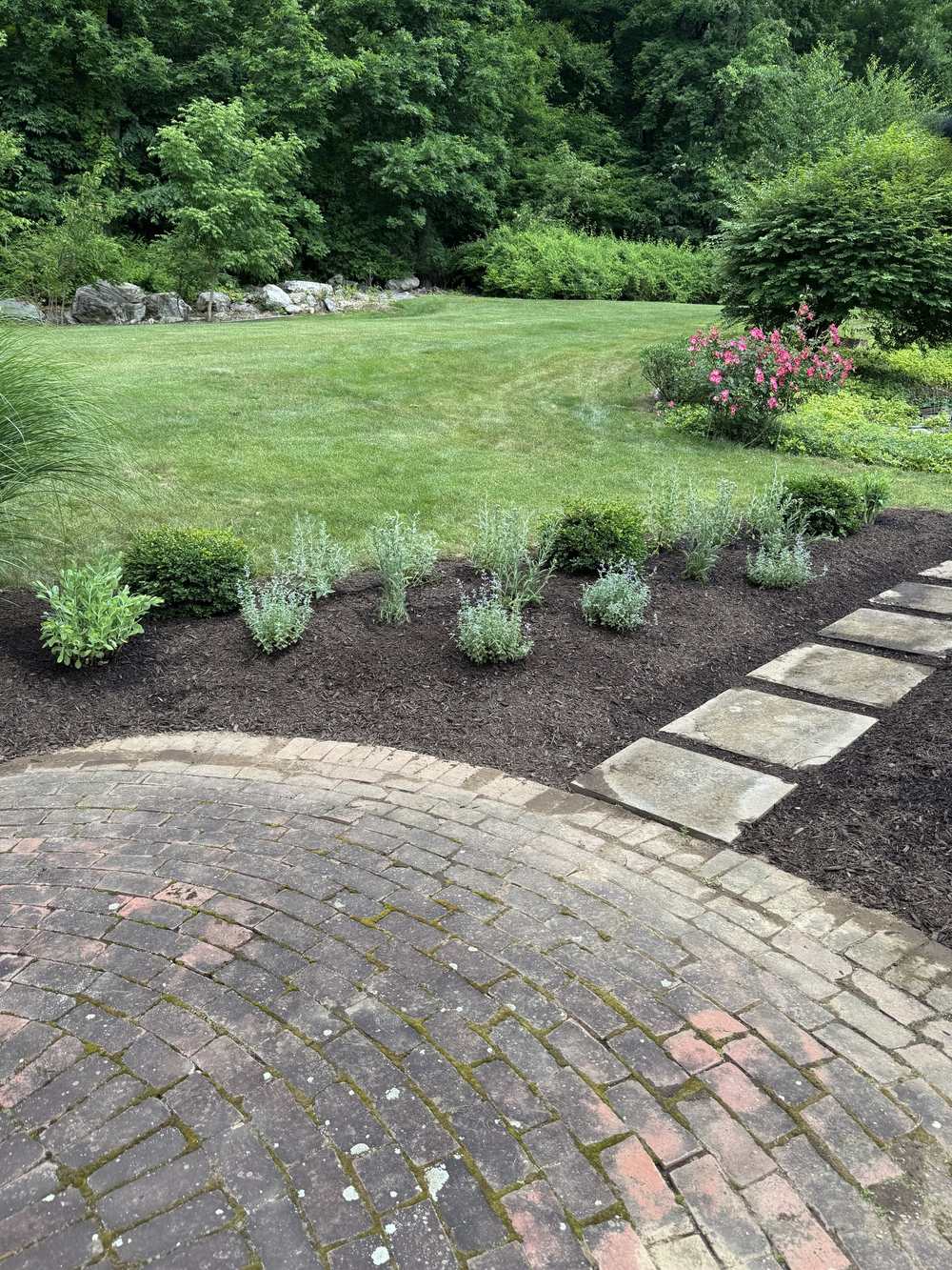 New perennial plantings beside a brick patio and stepping stones