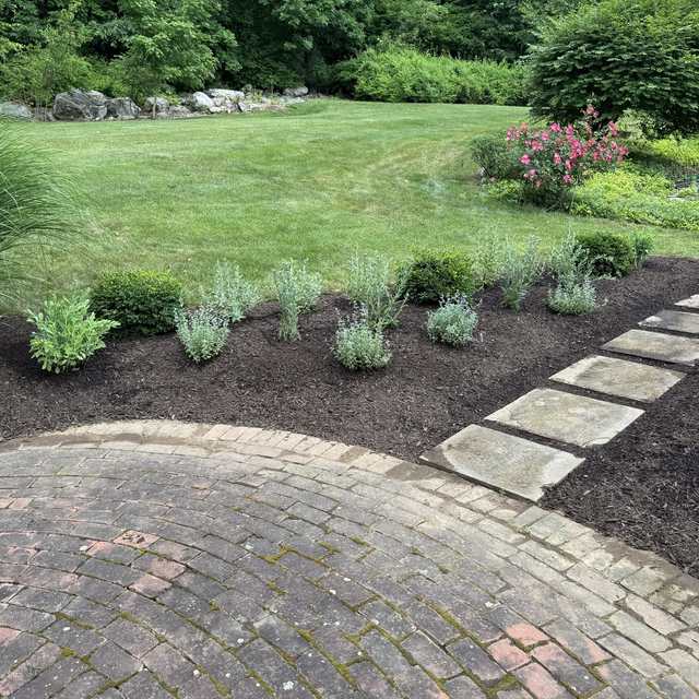 New perennial plantings beside a brick patio and stepping stones