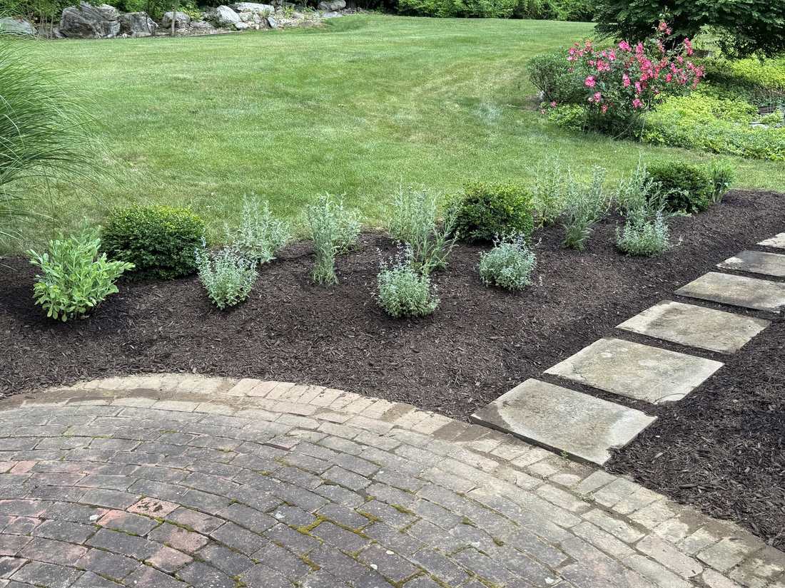 New perennial plantings beside a brick patio and stepping stones