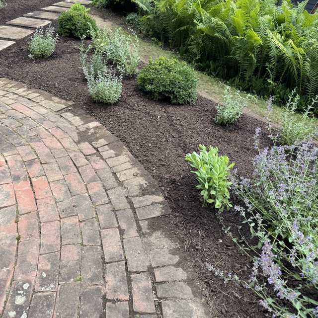 Mulched perennial bed curving along a brick path with ferns