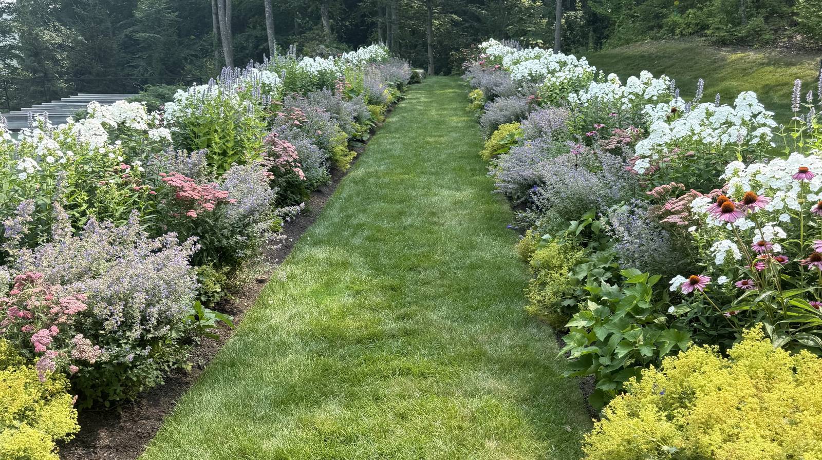 Mown grass walk between deep perennial borders