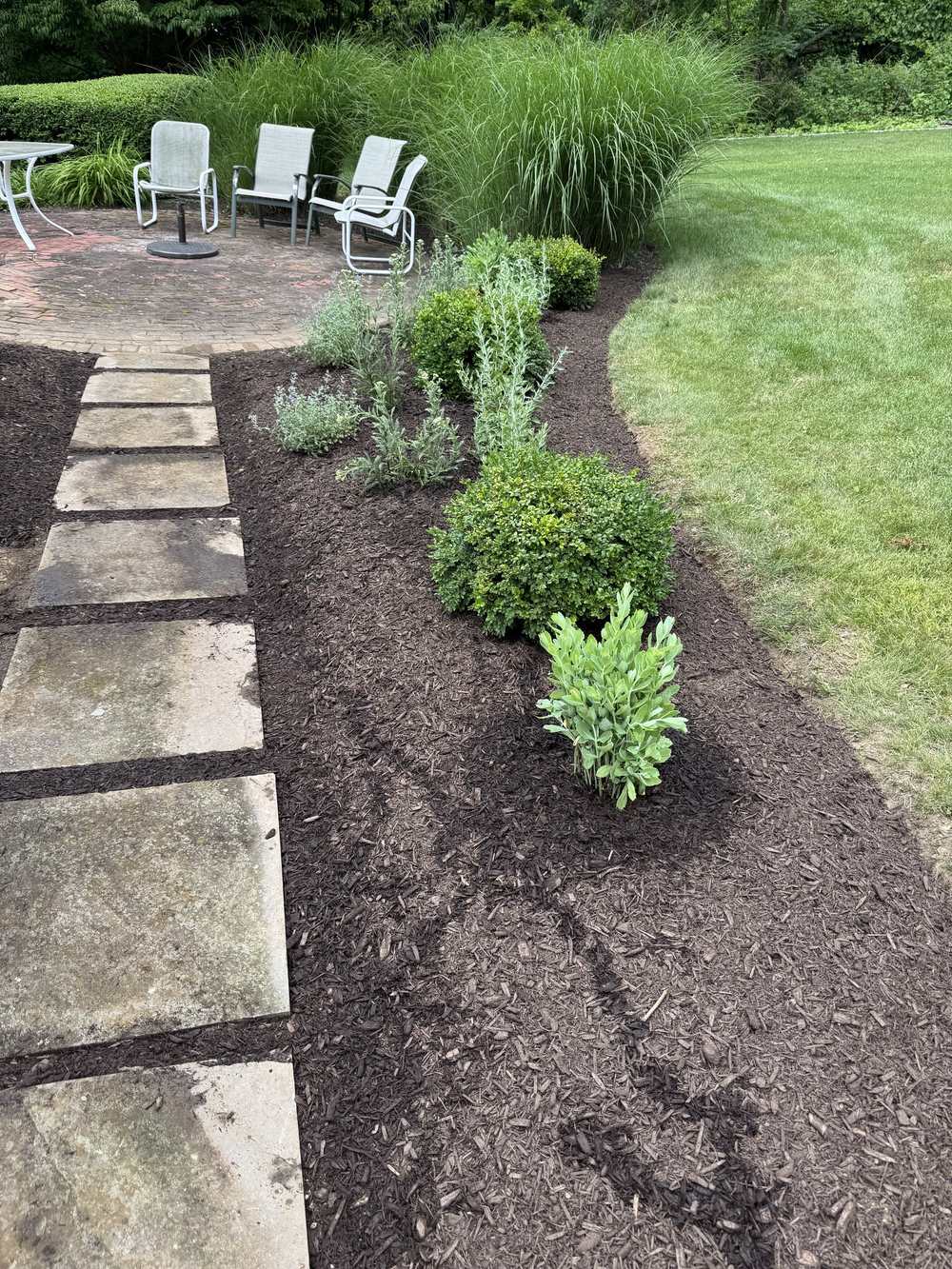 Newly planted shrub and perennial bed along a stepping-stone path