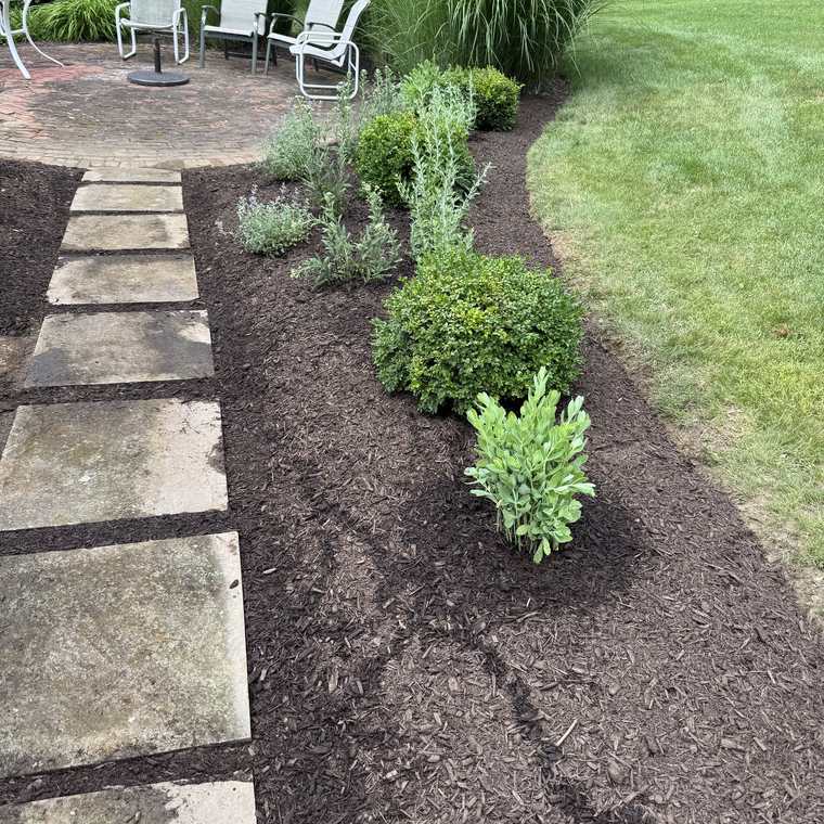 Newly planted shrub and perennial bed along a stepping-stone path